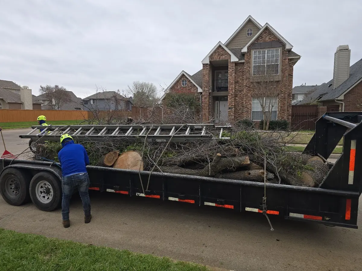 Expert Tree Fertilization with proper safety equipment in West Greenwich